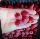 ������� � ����������: ������ ����� ������������ ������, ����� ������������ ������