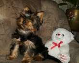 ������ ����� ������������ ������� - ����������� 2