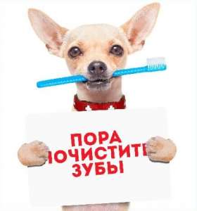 ������ ����� ������������ �������� �������� � ��������� Dog-style - ����������� 1