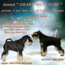 ������� � ����������: ������ ����� ������������� ������ ������ � ��������