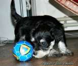 ������ ����� ������������� ������ ������ � �������� - ����������� 3