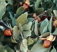 ������ �����, �������������� - ����������� 1