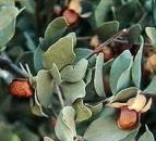 ������� � ����������: ������ �����, ��������������