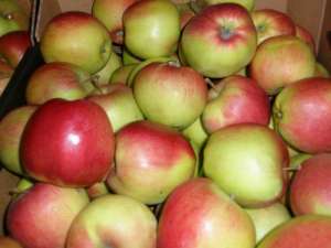 ������ ������ - ����������� 1