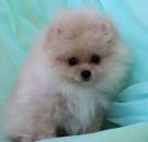 ������ ������ - ����������� 3