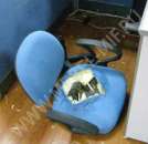 ������ ������. ������ ������ - ������