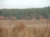 ������!!! ������ - ����������� 3