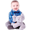 ������ ������. ������������ ������ - �������/�������