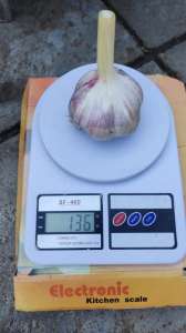 ������ ������. - ����������� 1