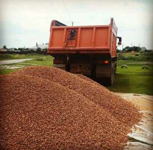 ������ ������ - ����������� 1