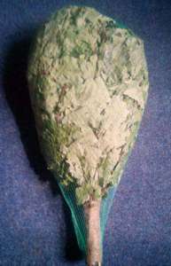 ������ ������ � ���� - ����������� 1