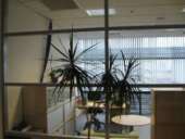 ������� � ����������: ������ ������ � ������ � ���������� �������