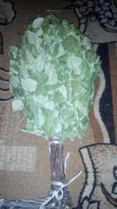 ������ ������ � ������ "����������� �������" - ����������� 1