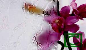 ������ ������ � ������������ ����� ���� - ����������� 1