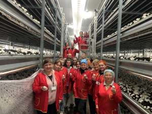 ������. ������ �� ����� ������� �����, �������� ��� ������ � ������. - ����������� 1