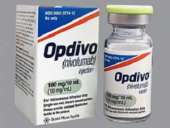 ������� � ����������: ������ ������ �� ������ ���� � ������������ �������� ��� ������� ���������