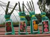 ������� � ����������: ������ ������ �� ������� � ���������� � ������