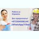 ������� � ����������: ������. ������ �� �������. ������ � �������.