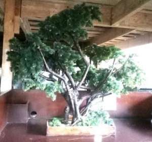 ������ ������ �/� ������� ������������� - ����������� 1