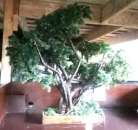 ������� � ����������: ������ ������ �/� ������� �������������