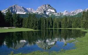 ������ ������ ��� � ����������. ������. - ����������� 1