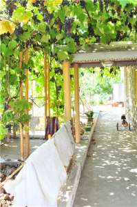 ������ ������ ��� � �����������!!!��� �����������, 230�2, 5 ������. - ����������� 1