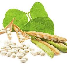 ������ ������ ��� ����, ������� �����, ϳ���, ������� �������. - ����������� 1