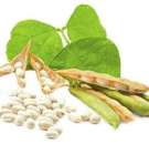 ������ ������ ��� ����, ������� �����, ϳ���, ������� �������.