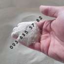 ������ ������ ���, ������ �������� ������� (���������). �����, ��������� - �������/�������