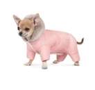 ������� � ����������: ������ ������ ��� �������� ���/�������