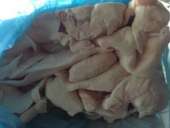 ������ ������ ���� ����� - ����������� 2