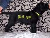 ������ ������ ���� ����� - ����������� 3