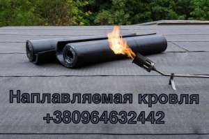 ������ ������ ����: �����, ����.������, �������, �������. �������������. - ����������� 1