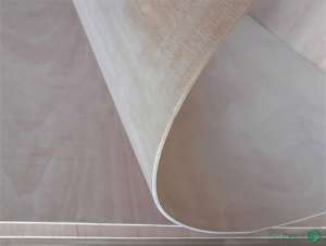 ������ ������ ����� ( 3, 5, 8 �� / 1,22�2,44� ) ���������� �������� - ����������� 1