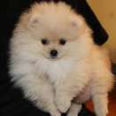 ������ ������ ����� - ����������� 2