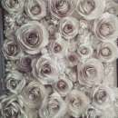 ������� � ����������: ������ ������ ����� �� ����, ��������� ���������� ����, ������ ���� �� �������