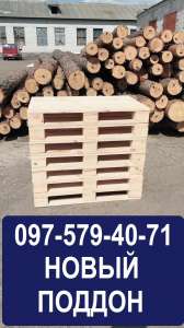 ������ ������ ����� ����. �������� ���������� � ����� ����. - ����������� 1