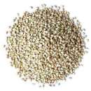 ������� � ����������: ������ ������ �����. ����� ����� ������, ��� ������