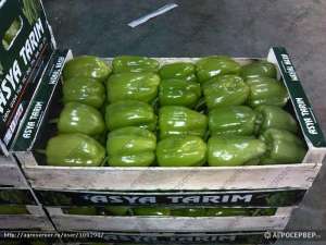 ������ ������, ����� ������ - ����������� 1