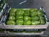 ������� � ����������: ������ ������, ����� ������