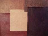 ������ ������, ����� ������ ���� ����������� ������� ��������� ��������� ������������ ������� ������������� ����� ���������� ����� - ����������� 2