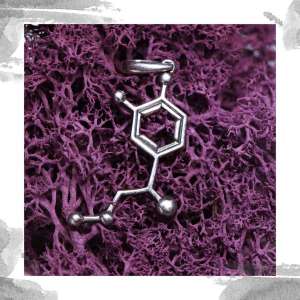 ������ ������ ����� �������� ������ - ����������� 1