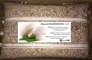 ������ ������ ����� �������� (����������), ����� (�������) - ����������� 1