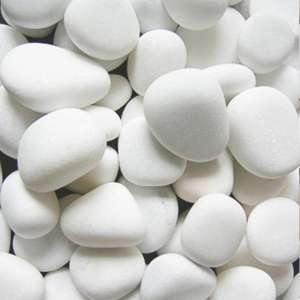 ������ "������ ����� ���������" - ����������� 1