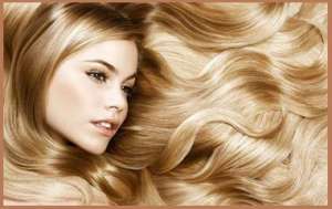 ������. ������ ����� ����������� ������ �� 40 ��. ������� ����� ����. - ����������� 1