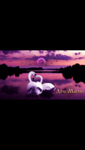 ������ ������ ����� ������������� � �������� - ����������� 1