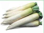 ������ ������ ������ Titan / ����� (������). �������� - �������/�������