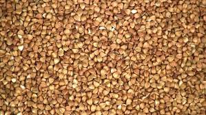 ������ ������. ������ ������. - ����������� 1