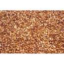 ������� � ����������: ������ ������. ������ ������