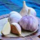 ������� � ����������: ������ ������ ������ �������